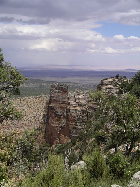 images/D-Navajo Point- Canyon View.jpg